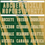 Maillot de football personnalisé vert et blanc à sublimation dorée