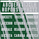 Maillot de football gris vert et blanc, uniforme personnalisé, lignes de sublimation Maillot de football gris vert et blanc, uniforme personnalisé, lignes de sublimation