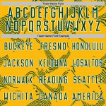 Maillot vert-blanc personnalisé par sublimation Sports Gold Lines Soccer Curve Uniform