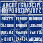 Maillot de football personnalisé gris-blanc Royal Lines Uniforme de sublimation Sports Curve